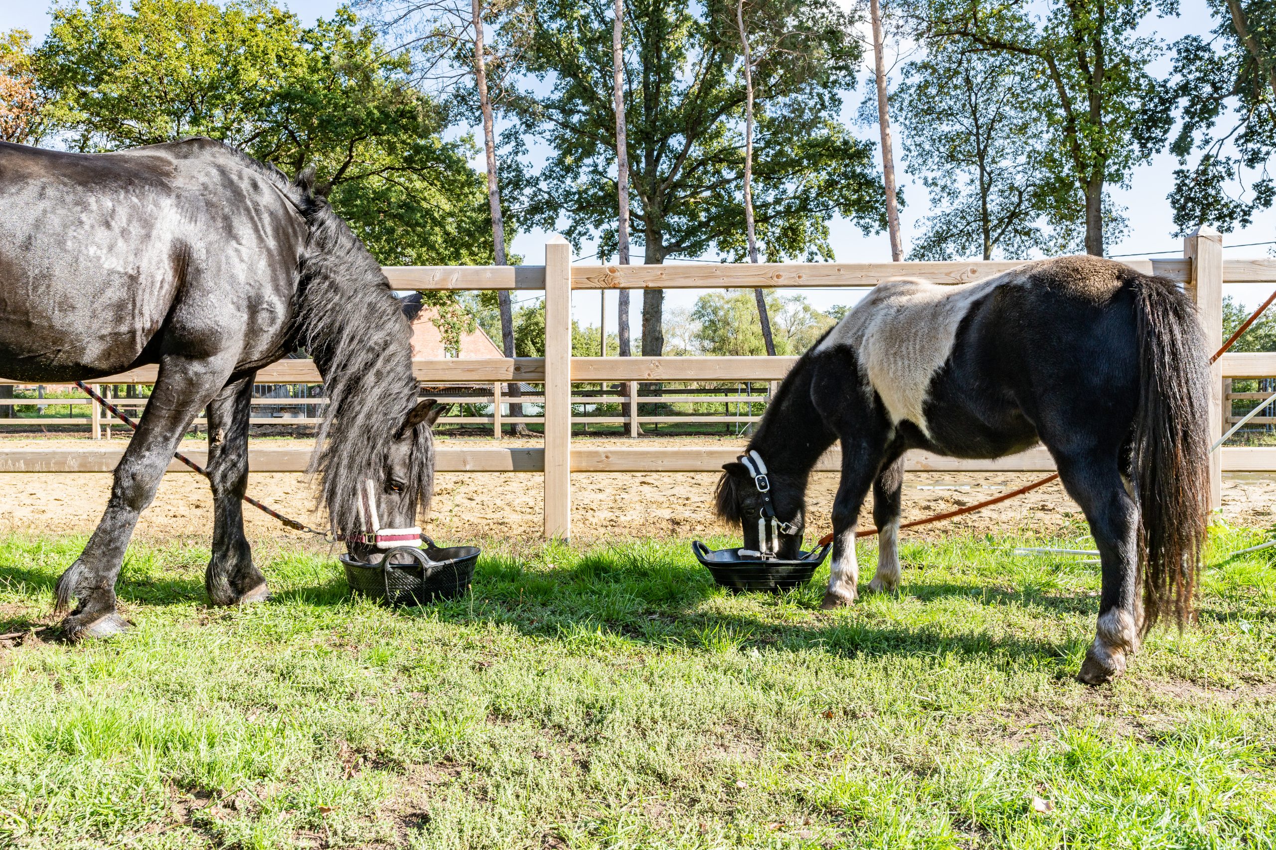 21L. Rubber kuip of trog. - Image 6
